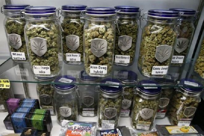 Od legalizacije marihuane regionalni bi gradovi godišnje zaradili hrpu novaca