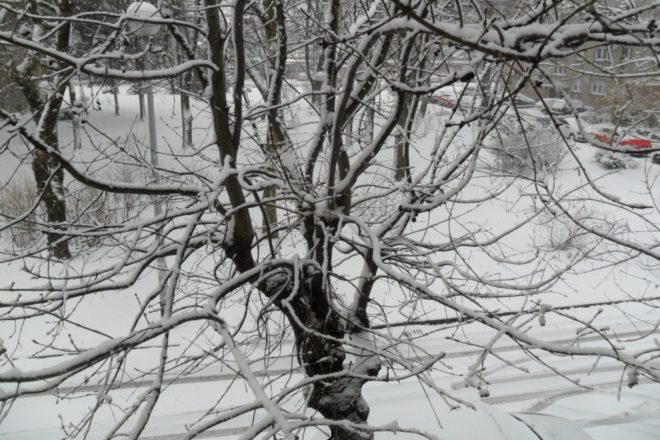 Ignorirajte hladnoću uz Chillcast!